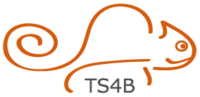 TS4B Soluciones de TI